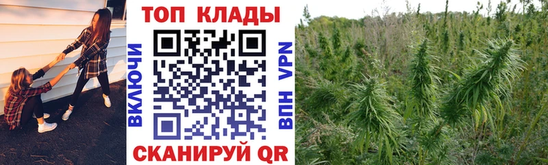 Наркотические вещества Юхнов мега ССЫЛКА  APVP  Гашиш  Канабис  Галлюциногенные грибы 