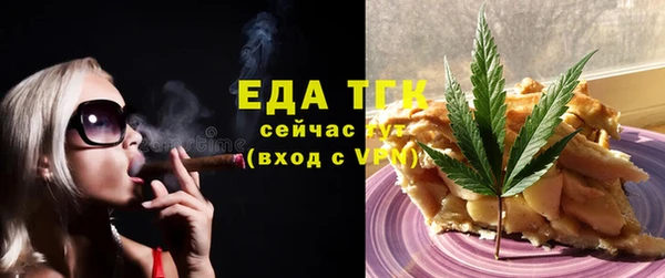шишки Корсаков