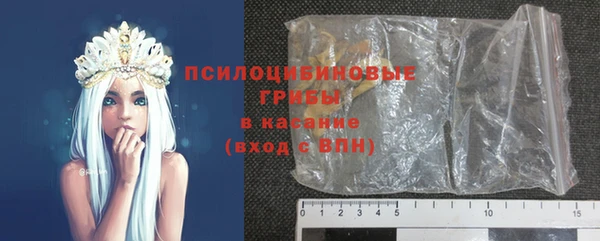 шишки Корсаков