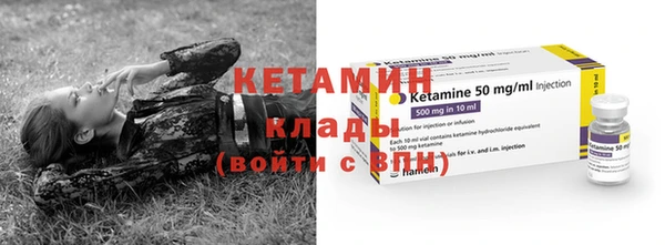 шишки Корсаков