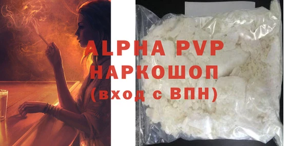 шишки Корсаков