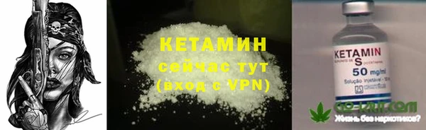 шишки Корсаков