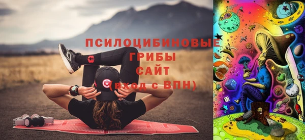 шишки Корсаков