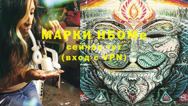 шишки Корсаков