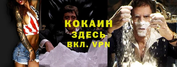 шишки Корсаков