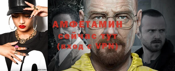 шишки Корсаков